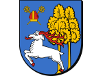 elk_miasto
